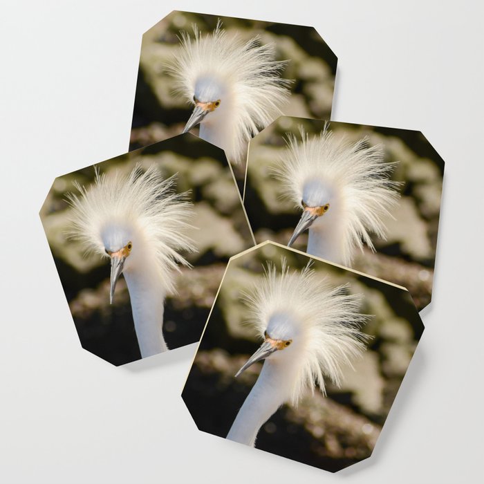 Snowy Egret Animal / Wildlife Photograph Coaster and more