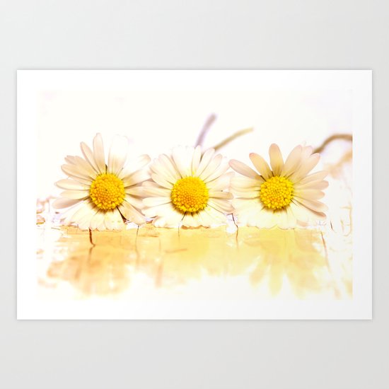 Sunny daisies Art Print