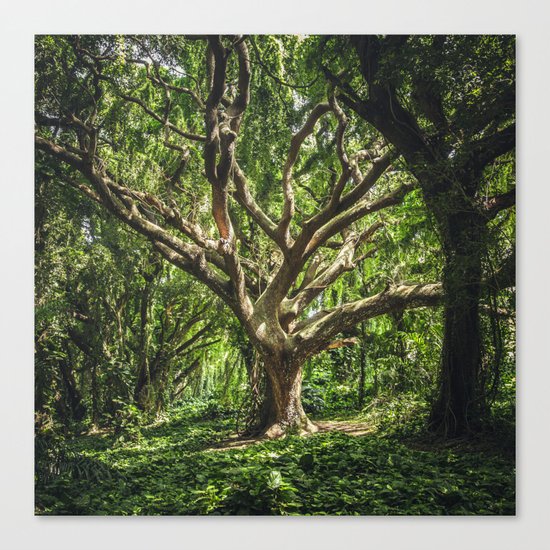 THE TREE Canvas Print