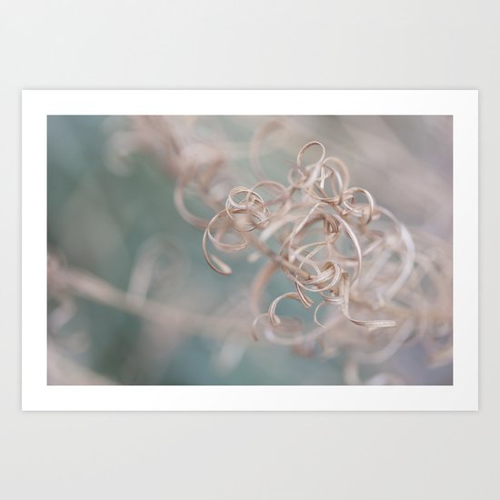 Curlicue Art Print