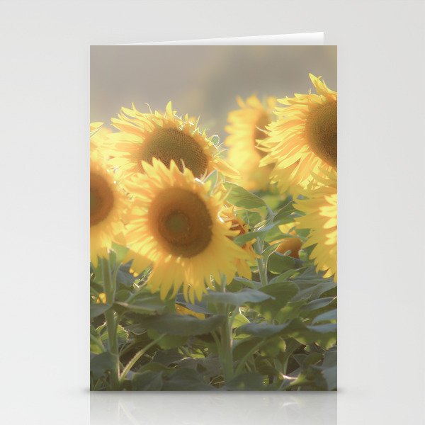 Sunflower Fields Tennessee Fine Art Photography Stationery Cards