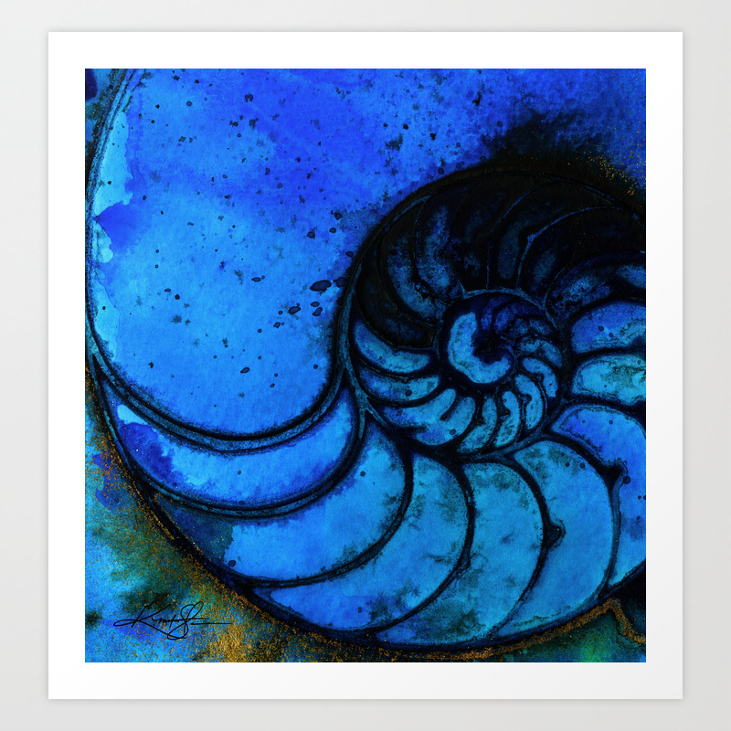 Nautilus Shell No 987 By Kathy Morton Stanion Art Print By Kathymortonstanion Society6