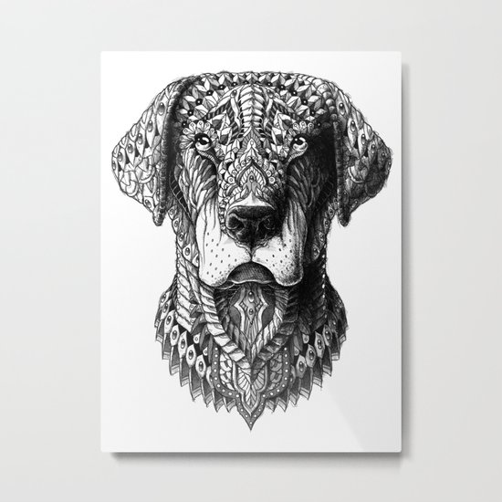 Labrador Metal Print