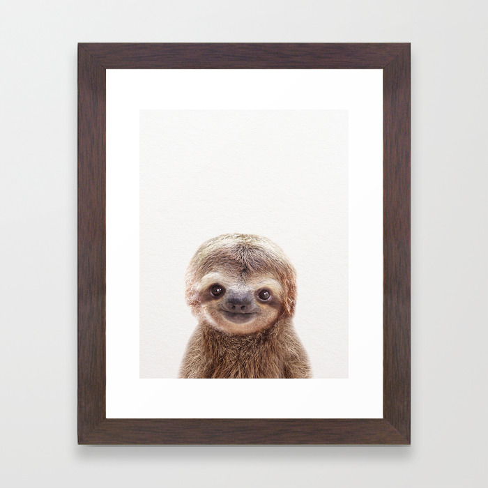 Baby Sloth Baby Animals Art Print By Synplus Framed Art Print By Synplus Society6 Baby Sloth Baby Animals Art Print By Synplus Framed Art Print By Synplus Society6