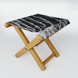 Greylag goose feathers in black and white | Bird feather texture Folding Stool