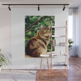 Maine Coon - White Wall Mural