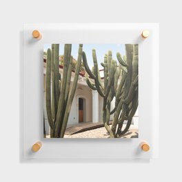 Mexico Photography - Cactuses Surrounding A Small House Floating Acrylic Print