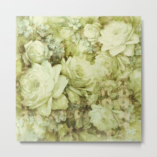 white climbing rose Metal Print