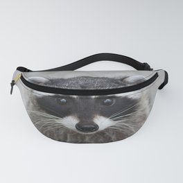 Raccoon by Trish Stamp Photography  Fanny Pack