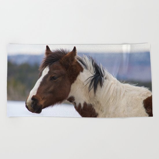 Tri-Colored Horse Beach Towel