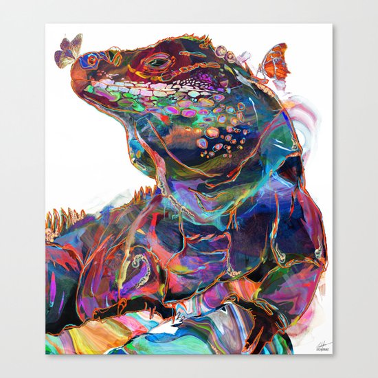Kozah Canvas Print