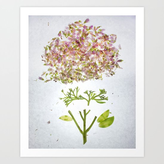 Botanical Blueprints Art Print
