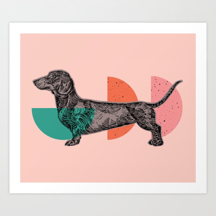 Sausage dog art print hotsell