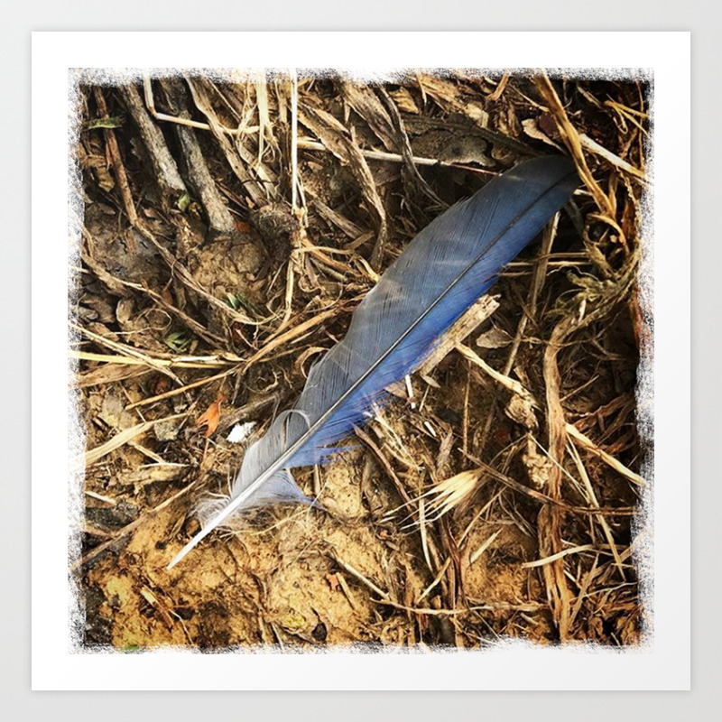 Blue Jay Feather Art Print By Brittany Adkison Society6 Blue Jay Feather Art Print By Brittany Adkison Society6