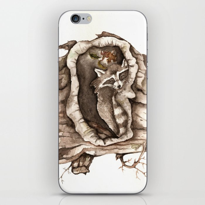 Sleeping Raccoon in Tree Hollow iPhone Skin