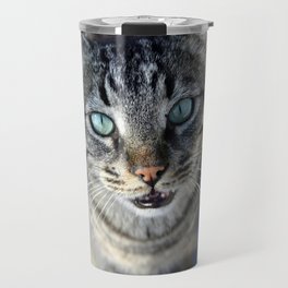 I Follow My Whiskers Tabby Cat Photography Travel Mug