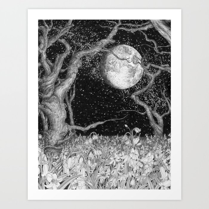 The Midnight Flowered Forest Art Print