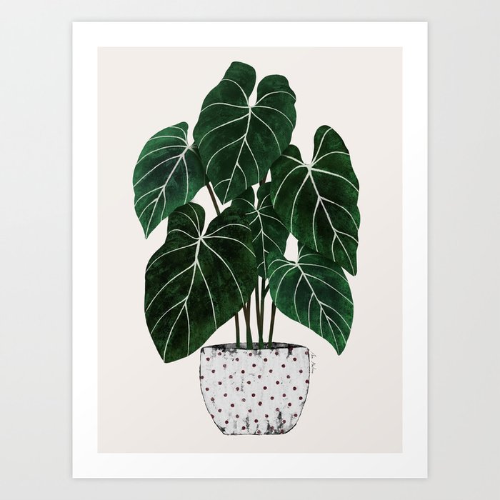 philodendron pot plant Art Print