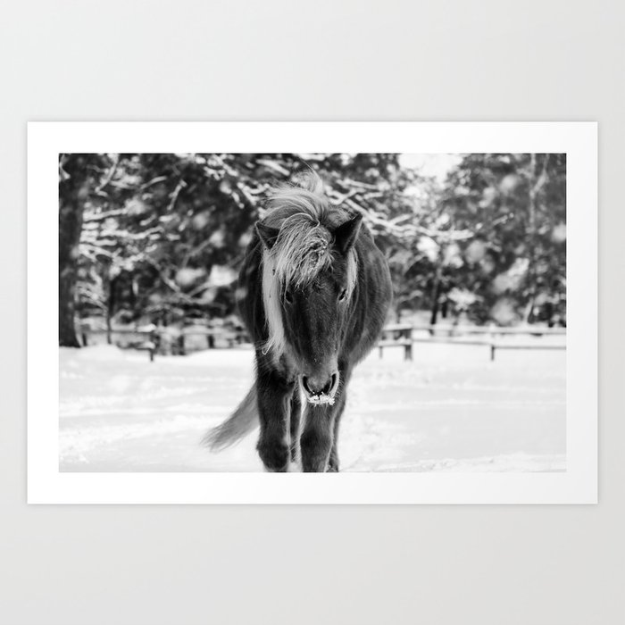 Chestnut Horse in Snowy Winter Landscape - Black & White Art Print