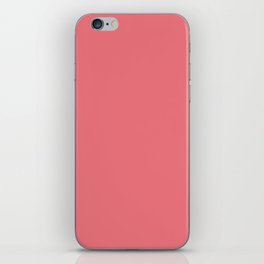 Siesta Rose iPhone Skin