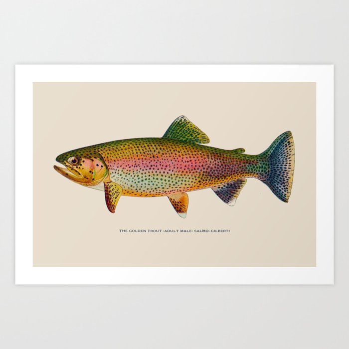 Art Print