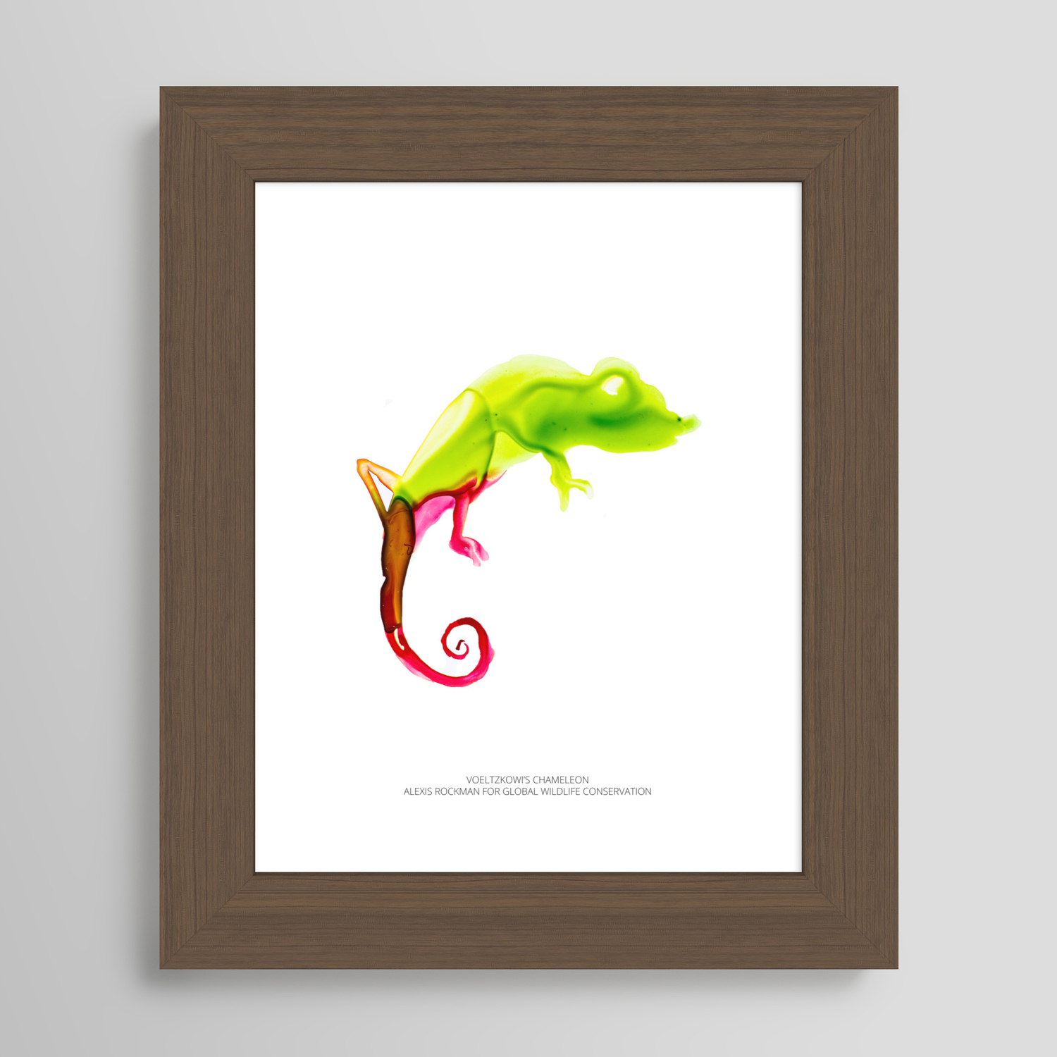 Voeltzkow's Chameleon Framed Art Print by Global Wildlife Conservation |  Society6