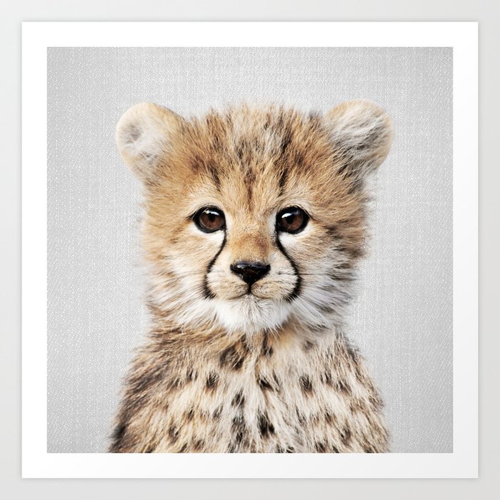Baby Cheetah - Colorful Art Print by Gal Design