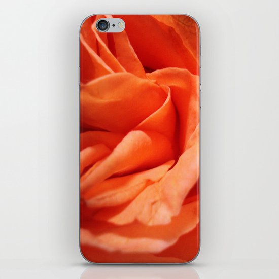 Rosa Vieja iPhone Skin