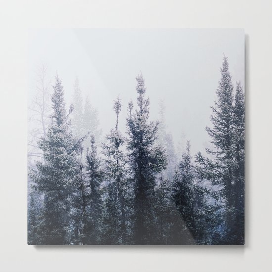 Waste a moment in the forest Metal Print