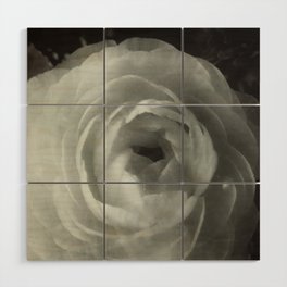 White Flower (Photographic Art Print) Wood Wall Art