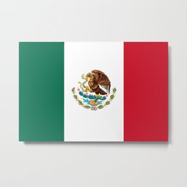 Mexican flag of Mexico Metal Print | Mexicano, Eagle, Graphicdesign, Mexico, Mexcan, Flag, Hawk 