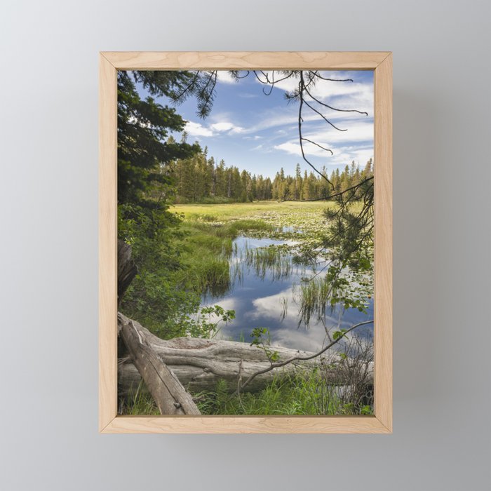 Lakeside in Grand Teton Framed Mini Art Print