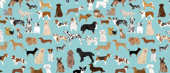 Dogs pattern print must have gifts for dog person mint dog breeds Bath Mat  by PetFriendly
