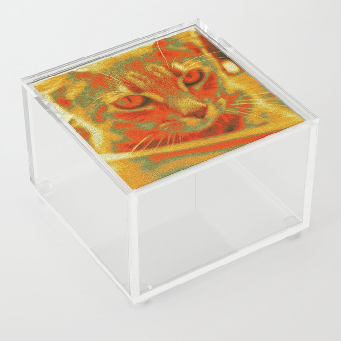 Cats are Art, Kitten 1 Acrylic Box