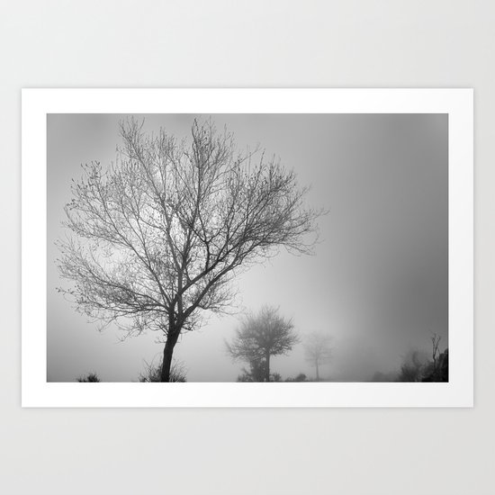Three tree silhouettes in the rain Art Print