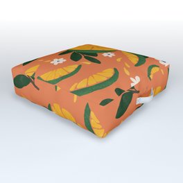 Cam Sahn - Vietnamese Citrus // Terracotta Outdoor Floor Cushion
