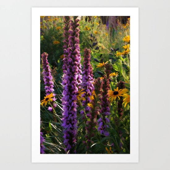 Summer Garden Art Print