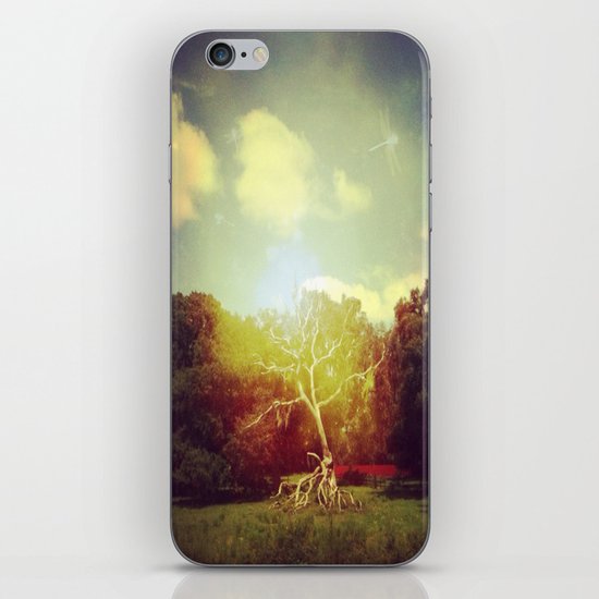 Burning Bush iPhone & iPod Skin