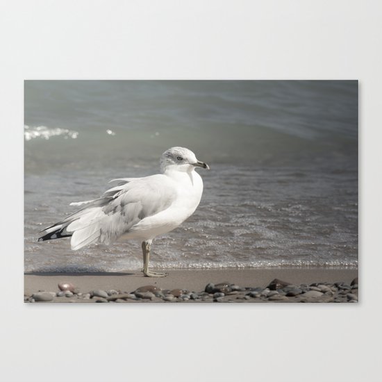 Beach Day Canvas Print