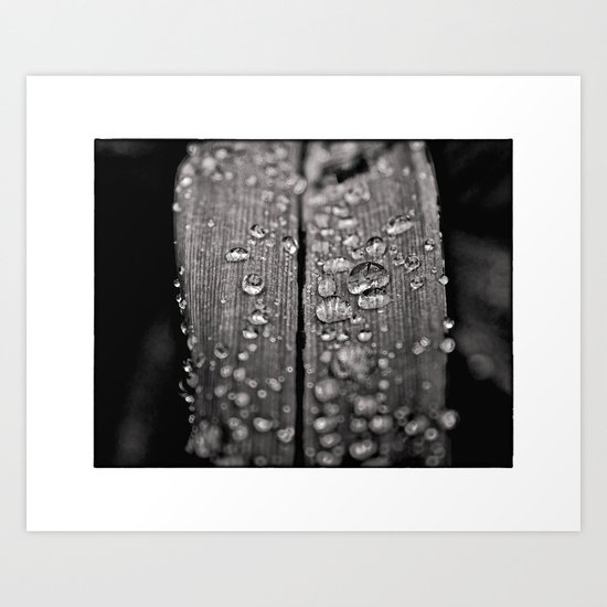 Tiny Worlds 02 Art Print