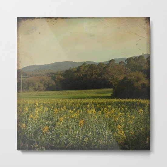 Once Upon a Time a Field of Flowers Metal Print