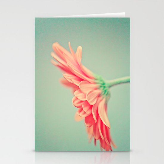 Darling Gerber Daisy Stationery Cards