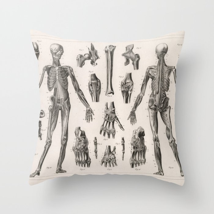 1857 Diagram Anatomy including Ligaments and Muscles Throw Pillow