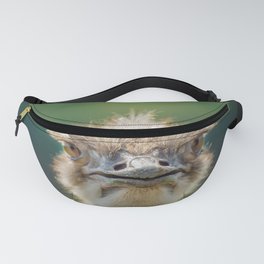Hi, how are you? Fanny Pack
