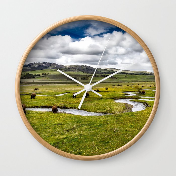 Yellowstone, Home on the range, American buffalo / bison grazing in spring fields of green river prairie landscape color photograph / photography Wall Clock