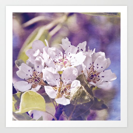 APPLE BLOSSOM Art Print