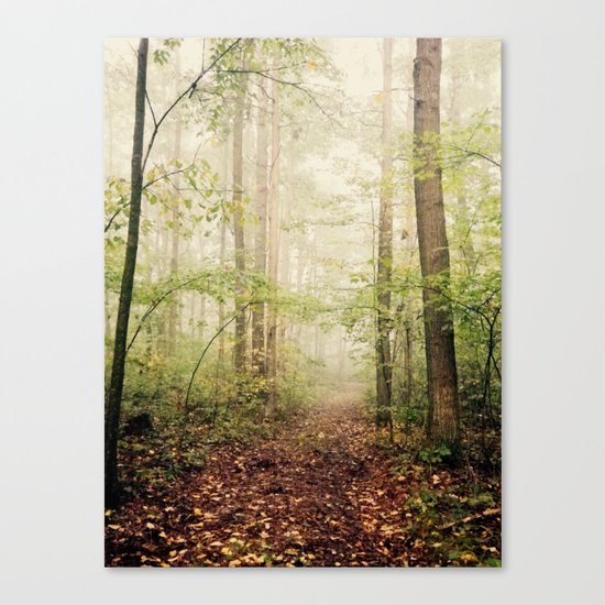 Get Lost Canvas Print
