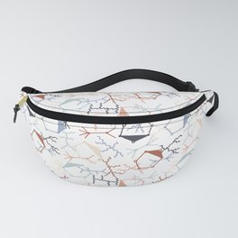 Chaotic Particle Physics on White Fanny Pack