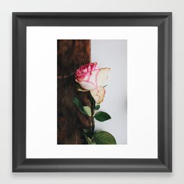 A Rose Framed Art Print