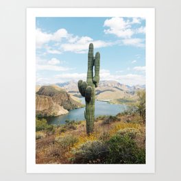 Arizona Saguaro Art Print